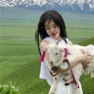 泰皇传奇五部曲